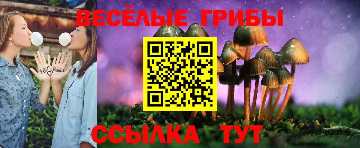магазин    Псилоцибиновые грибы Psilocybe  Вход с VPN  Феодосия 