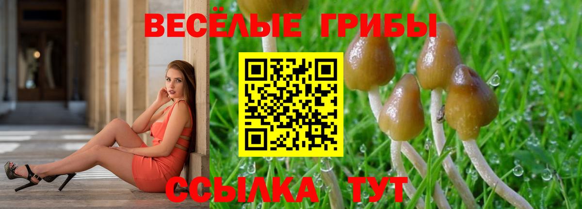Псилоцибиновые грибы прущие грибы Феодосия